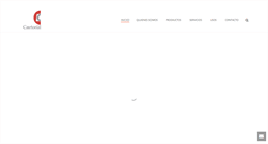 Desktop Screenshot of cartonalcolombia.com